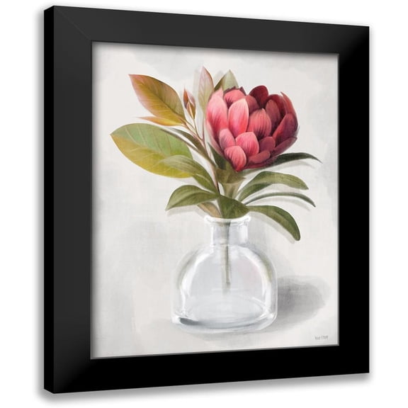 House Fenway 12x14 Black Modern Framed Museum Art Print Titled - Protea Posie