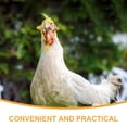 thumbnail image 3 of PAMINGONO 5Pcs Small Animals Cute Hat Assorted Color Photography Props For Bearded Dragons Lizards And Chickens, 3 of 6