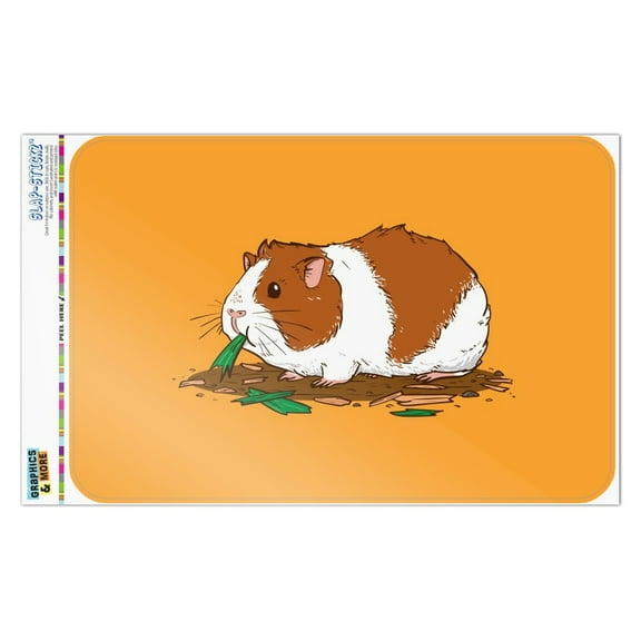 Guinea Pig Eating Home Business Office Sign