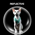 thumbnail image 4 of Arnés para gatos y gatitos, suave, reflectante, de seguridad, para caminar, para cachorros, perros pequeños, correa ajustable para el pecho, transpirable, XXS/XS/S/M/L, 4 of 5
