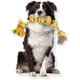 thumbnail image 1 of Juguete para perros casi indestructible para perros medianos y grandes, juguetes interactivos de cuerda para perros de 60 cm y 6 nudos, juguete masticable resistente para limpiar los dientes, juguete, 1 of 5