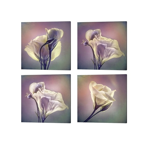 Metaverse Leda Robertson 'A Beautiful Morning, Flowering Into Light A, Greet the Day A & B' Canvas Art (Set of 4)