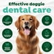 thumbnail image 4 of Pasta de dientes para perros TropicLean Fresh Breath sin cepillo, gel dental, 4 of 7