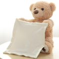 thumbnail image 3 of L'Ours en Peluche Peek-a-boo, 3 of 3