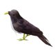 thumbnail image 5 of Simución de pájaro emplumado falso artificial, pájaros de pie, decoración de para el hogar, foto 4 Zulema Pájaros artificiales coloridos, 5 of 8