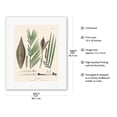 thumbnail image 2 of Peach Palm Tree (Bactris) - Vintage Botanical Illustration by Carl Friedrich Philipp von Martius c.1820s - Fine Art Rolled Canvas Print (Unframed) 11in x 14in, 2 of 4