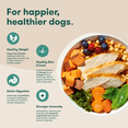 thumbnail image 4 of Jinx Chicken Sweet Potato Carrot Grain Free Dry Dog Food, 11.5 lb Bag, 4 of 11