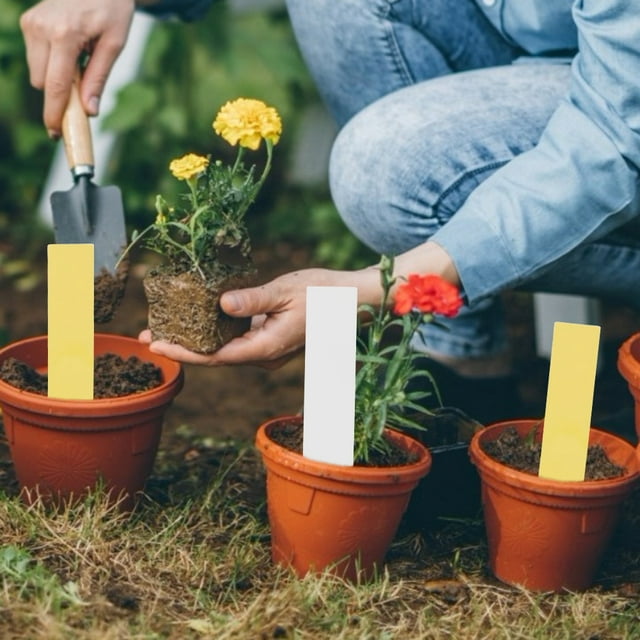 With Beautiful Appearance Lant Markers, Plant Labels, PVC Material Garden Customers To Hang