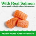 thumbnail image 4 of Greenies Feline Smart Purees Salmon Skin & Fur Health Lickable Cat Treats 0.49 Oz Tubes (20 Count), 4 of 6