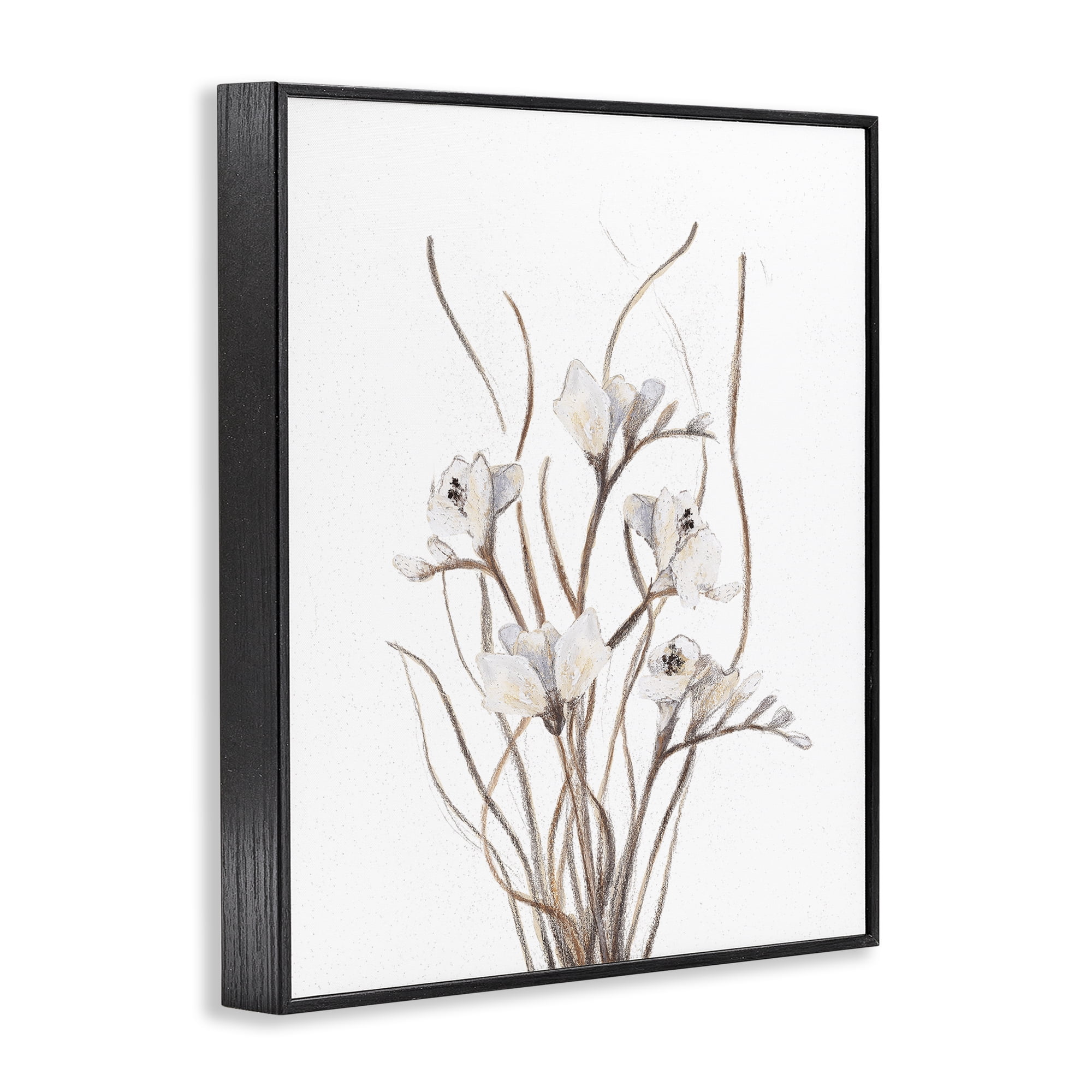 Stupell Industries Curly Branches on White Black Framed Giclee Art, design by Lanie Loreth