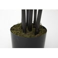 thumbnail image 4 of 77 in. Bamboo Tree with Planter, 4 of 6
