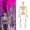 thumbnail image 4 of 10 miniesqueletos decorativos de 15 cm, estatua de hueso humano articulada, de plástico, para Halloween, casa embrujada, fiesta, 4 of 6