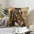 thumbnail image 6 of Haiem Musical Horse Vintage Collage Print Velvet Soft Solid Decorative Square Throw Pillow Covers Set with Elegant Piping Christmas Cushion Case for Sofa Bedroom Car-16"x16", 6 of 8