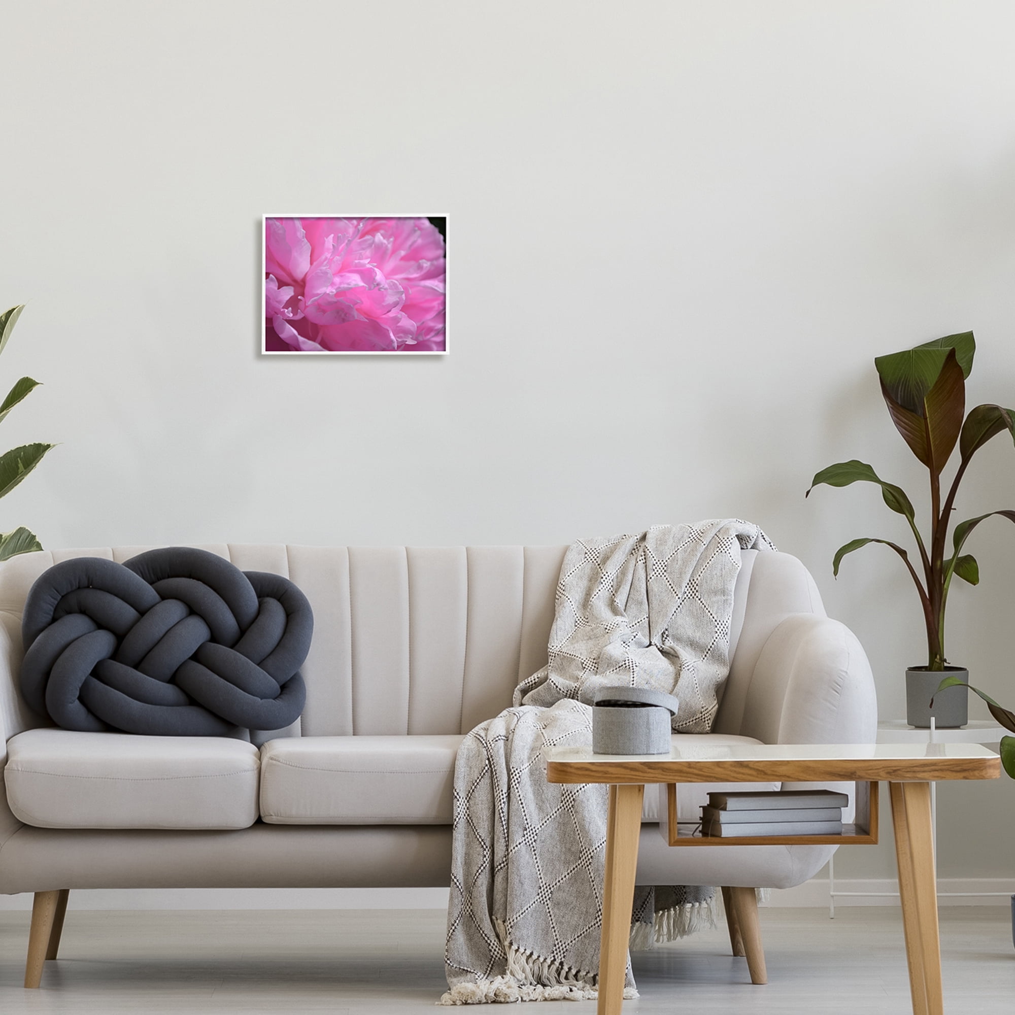 Stupell Industries Pink Carnation Photography Botanical & Floral Photography White Framed Art Print Wall Art, 14 x 11