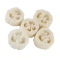 thumbnail image 2 of Depurador de esponja de esponja natural Depurador de Esponja de Tazón Luffa 5 Piezas para Senderismo Libre, 2 of 9