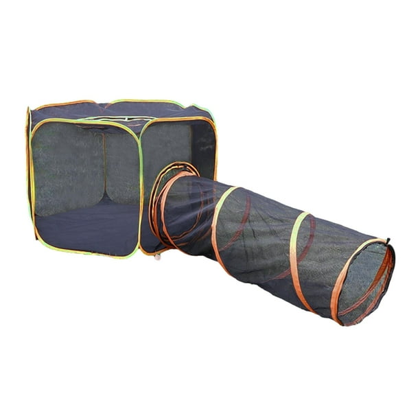Cat tent cheap and tunnel