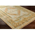 thumbnail image 2 of BoutiqueRugs Aliang Traditional Area Rug - Beige, Sage, PaleBlue - 2' x 3', 2 of 11
