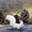 White WH, variant on Giunmcul Tax Free Weekend Imitation Animals Small Squirrels Pendant Ornaments Toys Handicrafts Holiday Supplies