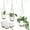 White, variant on Bamworld Hanging Planters with Macrame Plant Hangers for Indoor Outdoor Plants 3 Set Self Watering Pots Hanging Baskets Flower Pot Holders 3 Different Size