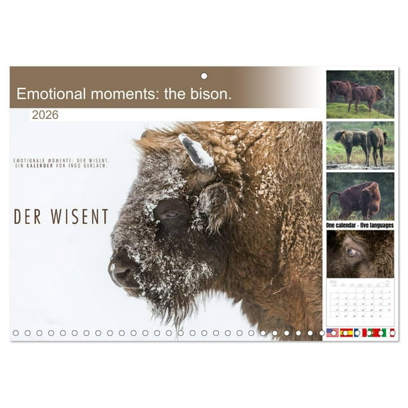 Emotional moments: the bison. (Monthly Wall Calendar 2026 16.5 x 23.4 (open)), CALVENDO 14 Month Calendar
