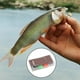 thumbnail image 5 of Juego de moscas atadas, cebo artificial, señuelo de pesca, caja de moscas, kit de moscas para pesca con mosca D, 5 of 9