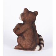 Racoon Holding Acorn
