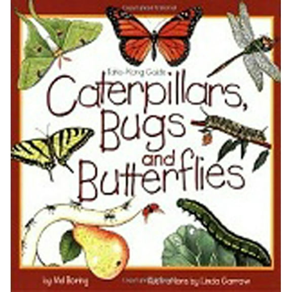 Pre-Owned Caterpillars, Bugs and Butterflies (Paperback) 1559716746 9781559716741