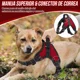 thumbnail image 4 of Pechera Arnés Perros Medianas Grandes Reflectante Regulable, 4 of 8
