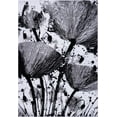 thumbnail image 1 of Ladole Rugs Poppy Floral Pattern Contemporary Indoor Area Rug Carpet in Grey Black, 8x11 (7'10" x 10'5", 240cm x 320cm), 1 of 6