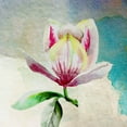 thumbnail image 3 of Boho Hue Studio 20x20 Black Modern Framed Museum Art Print Titled - Solitary Magnolia, 3 of 5