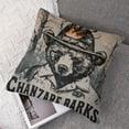 thumbnail image 7 of . Vintage Smokey Bear Logo Only You Can Prevent Wildfires Throw Pillow,  , Multicolor, 7 of 7