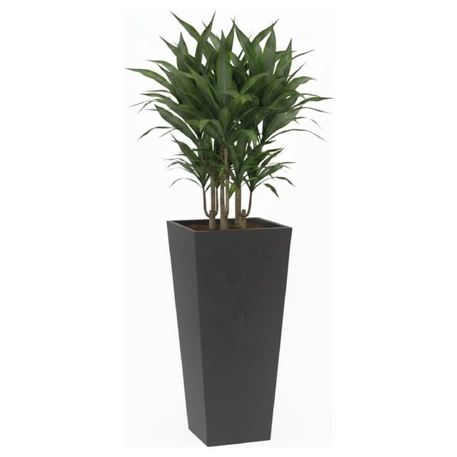 Maceta Cuadrada Alta Elly Decor 28x61 cm Negro Carbón