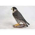 thumbnail image 4 of Hi-Line Gift 10.25 in Peregrine Falcon Garden Statue, Life-like Polyresin Decor, 4 of 5