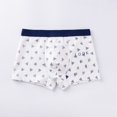 thumbnail image 4 of Ropa interior para niños de talla mediana y grande, bóxer fino de algodón con dibujos animados, pantalones cortos para estudiantes, ropa interior transpirable para niños, 4 of 5