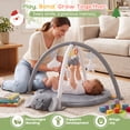 thumbnail image 6 of Babyeap Baby Play Gym Mat,Baby Play Activity Mat with 5 Detachable Toys and 30Ocean Ball,Newborn Infant Baby Essentials Gift,Gray, 6 of 7