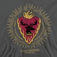 thumbnail image 2 of Game of Thrones Stannis Baratheon Burst Sigils Unisex Adult Pull-Over Hoodie, Stannis Baratheon Burst Sigils, 3X-Large, 2 of 5