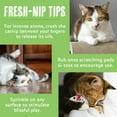 thumbnail image 4 of Van Ness Plastics Pureness Fresh Nip Organic Catnip 1oz, 4 of 5