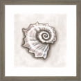 thumbnail image 2 of Great Art Now Shell A by Elizabeth Tyndall, 2 Piece Framed Art Set Each 13"W x 13"H, 2 of 3