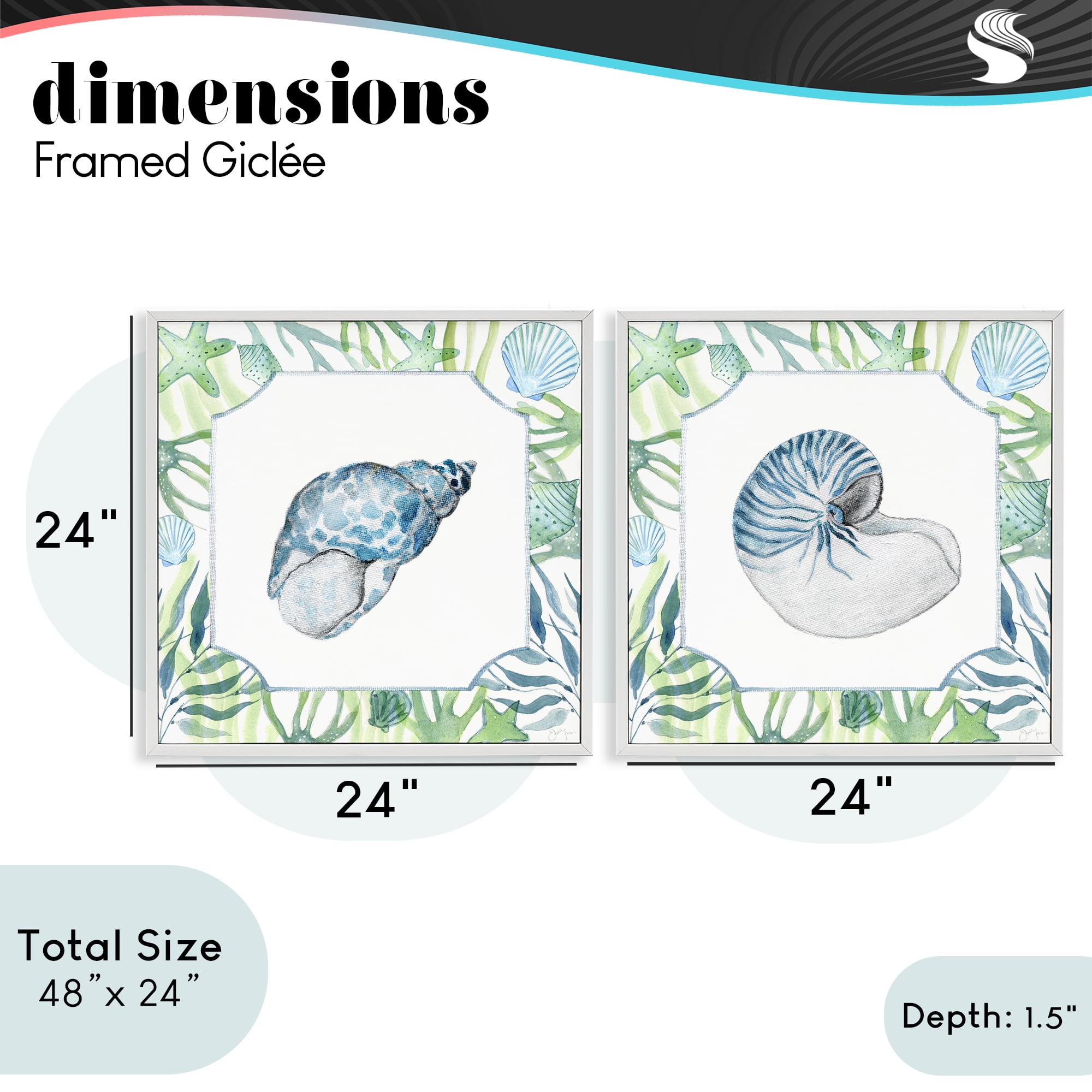 Stupell Industries Seaweed Bordered Seashells 2 Piece White Framed Giclee Art Set, design by Janet Tava