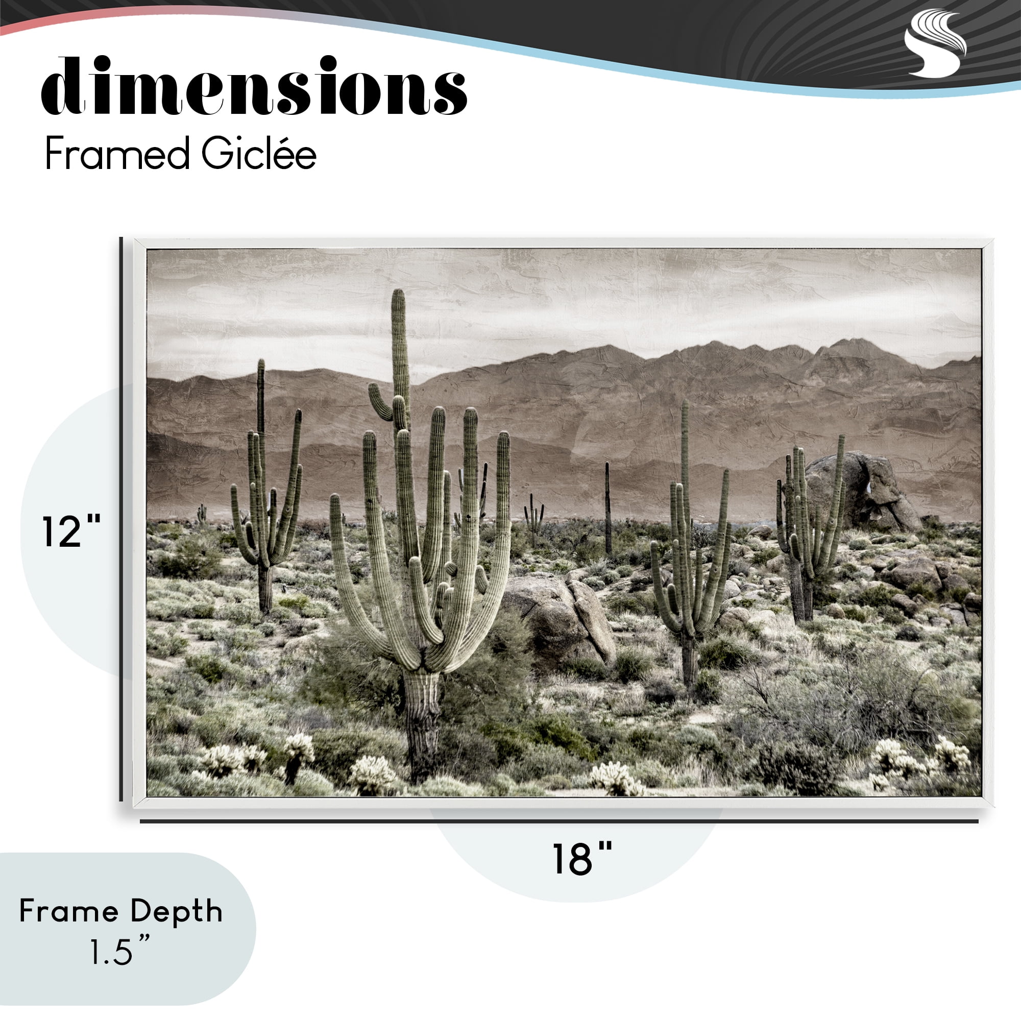 Stupell Industries Desert Land Cacti Wilderness White Framed Giclee Art, design by Kim Allen