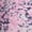 Multi Animal Cashmere Rose Print, variant on Girl's Athletic Core 7/8 Legging, Sizes 4-18