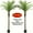 7FT/2Pack, variant on Large 7-9ft Artificial Palm Trees with Pot, UV Resistant Faux Palm for Indoor/Outdoor, Realistic Leaves for Patio, Garden, Pool, Home Decor