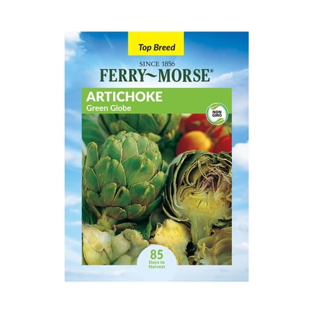 Ferry-Morse 450MG Artichoke Green Globe Perennial Vegetable Seeds, Full Sun