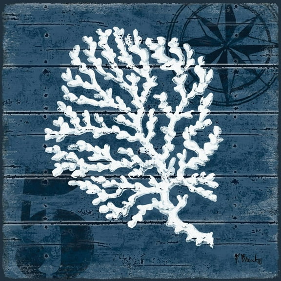 Art.com Cape Coral II Art Print by Paul Brent, 16" x 16"