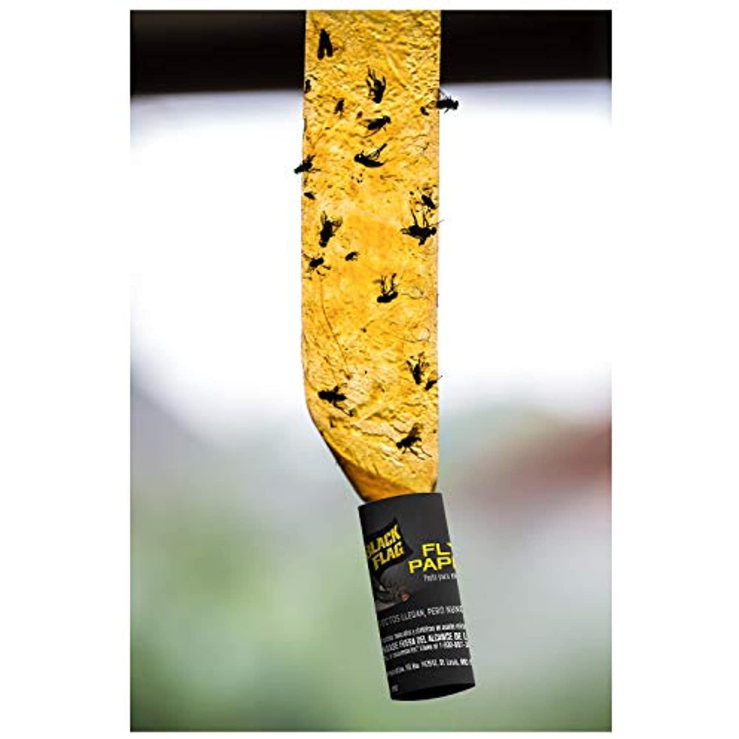 Black Flag Fly Paper 4 Traps, Catches All Flying Insects