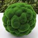 thumbnail image 3 of Bola de Musgo Artificial Sincero Verde 12 cm, 3 of 7