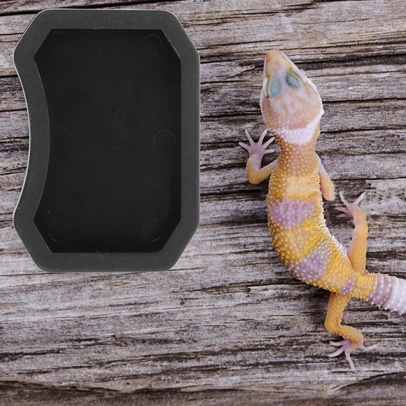 BESTYASH 10Ud Imitadas De Plástico Para Reptiles Y De Mascotas