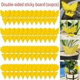 thumbnail image 4 of G·PEH Fruit Fly Traps Set of 50 Sticky Traps for Indoor/Outdoor Use Catch Gnats & Flies, 4 of 9