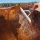 thumbnail image 1 of BESTYASH Peine Para Caballo Con Mango De Y Metal Anti Óxido Para Limpieza Y Cuidado Del Pelaje, 1 of 8