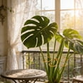thumbnail image 4 of Metal Plant Support Frame – Sturdy Rust-Resistant Stabilizer for Potted Flowers and Climbing Vines, 4 of 9
